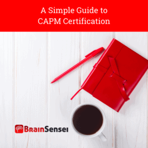 A Simple Guide to CAPM Certification