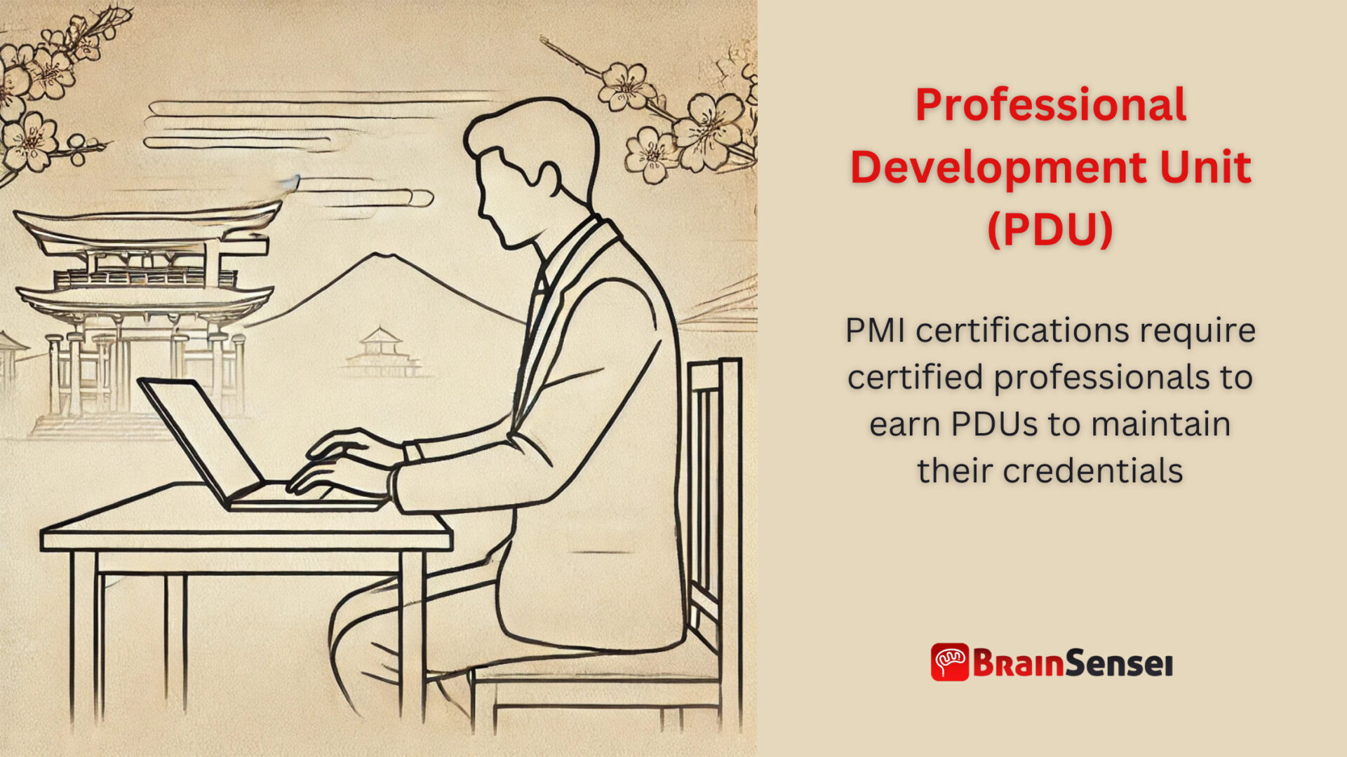 Missing Developer Unit PDU: Professional Development Units or Power Distribution Units?