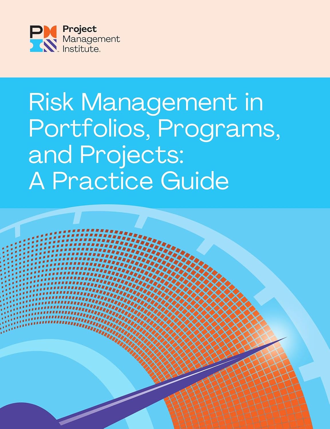 Risk Acceptance - Risk Management in Portfolios, Programs, and Projects: A Practice Guide