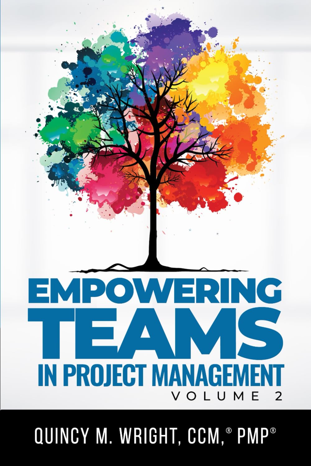 Project Management Team - Empowering Teams in Project Management