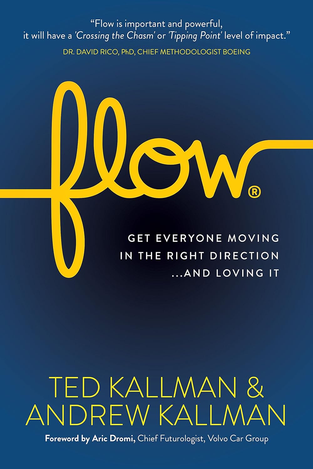 Flow - Flow: Get Everyone Moving in the Right Direction...And Loving It