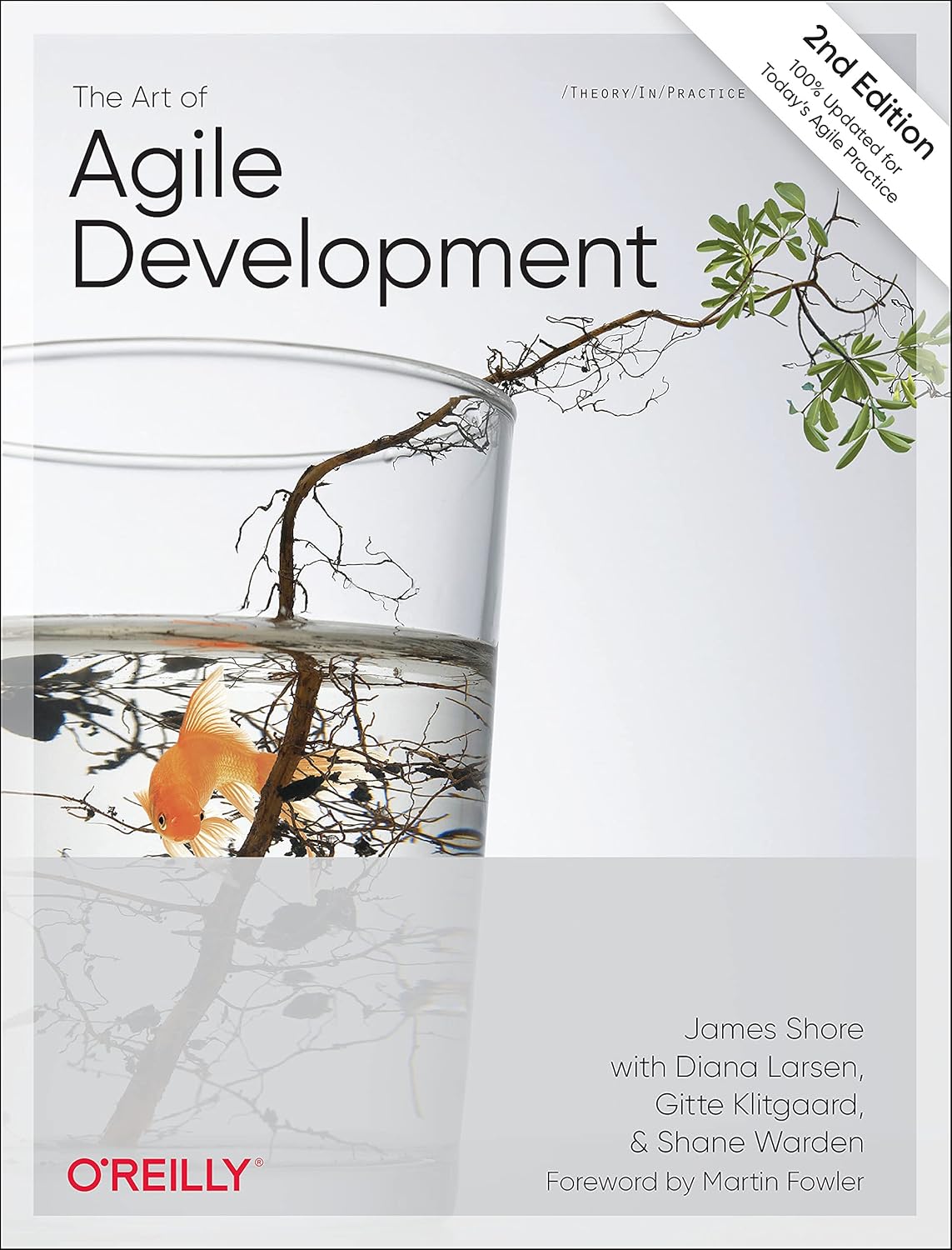 Pivot - The Art of Agile Development